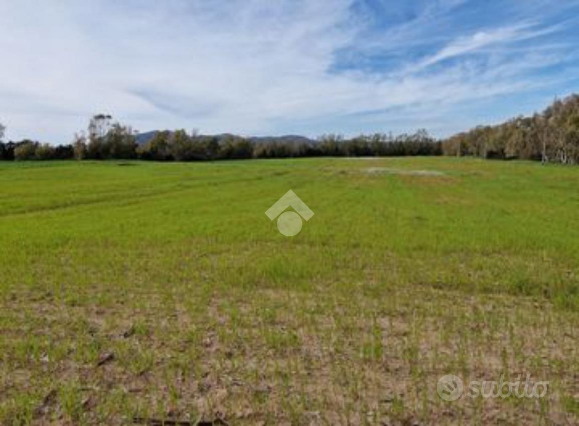 TER. AGRICOLO A CADONEGHE - Vista 4