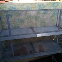 Voliera canarini o pappagalli 