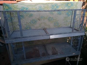 Voliera canarini o pappagalli 