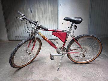 Bicicletta Mountain Bike