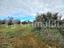 Immagine 14