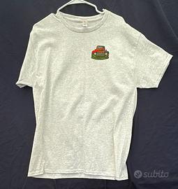 Hanes ComfortSoft T-shirt for men, grey, graphic i