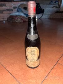 carpene malvoti