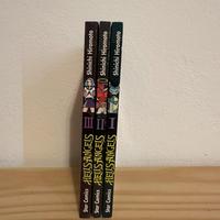 Hells Angels Manga - Shinichi Hiromoto