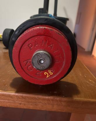 Manubrio 28kg