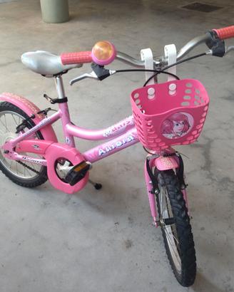 Bicicletta raggio 16