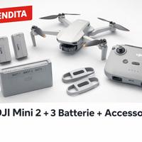 DJI Mini 2 + 3 batterie + accessori