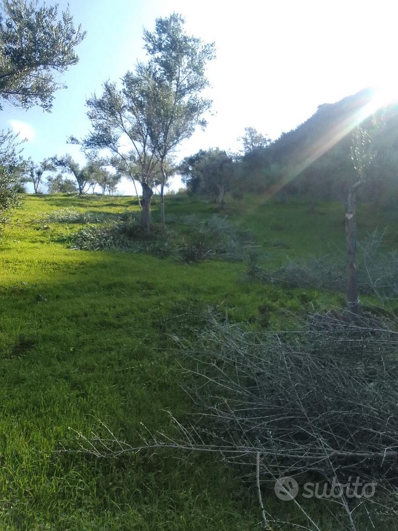 Terreno agricolo di 6500 mq con magazzino vista m - Vista 2