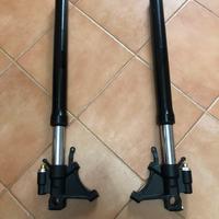 Coppia forcelle R6 2006 2007