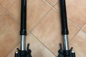 Coppia forcelle R6 2006 2007