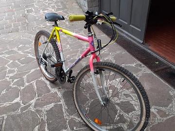 Bicicletta mountain bike 26 come da foto