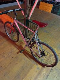 Bici 26