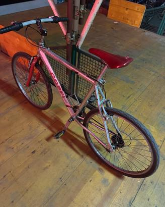 Bici 26