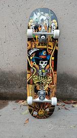 skateboard professionale 