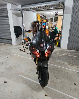 Aprilia RSV 1000 Factory 2004
