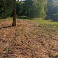 Terreno agricolo affit