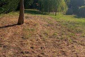 Terreno agricolo affit