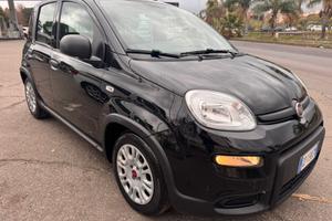 FIAT PANDA 1.0 FireFly 70 CV S&S HYBRID FP