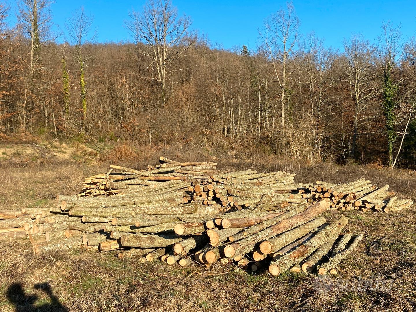 Pali di castagno Giardino e Fai da te In vendita a Arezzo