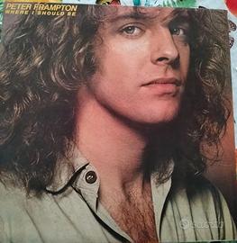 Vinile
