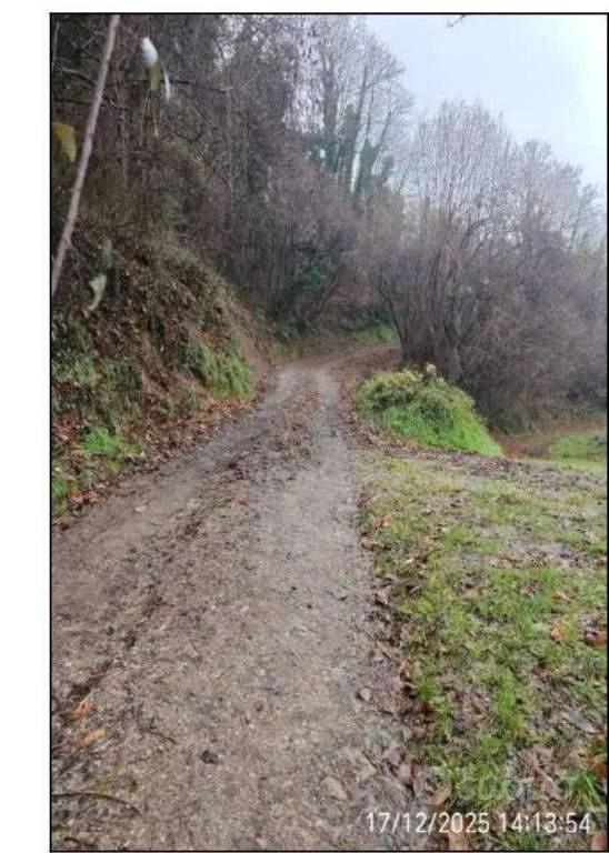 Immobile in asta di 291 m² con più di 5 locali a F - Altro