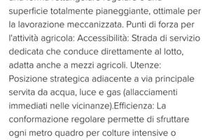 Terreno Agricolo