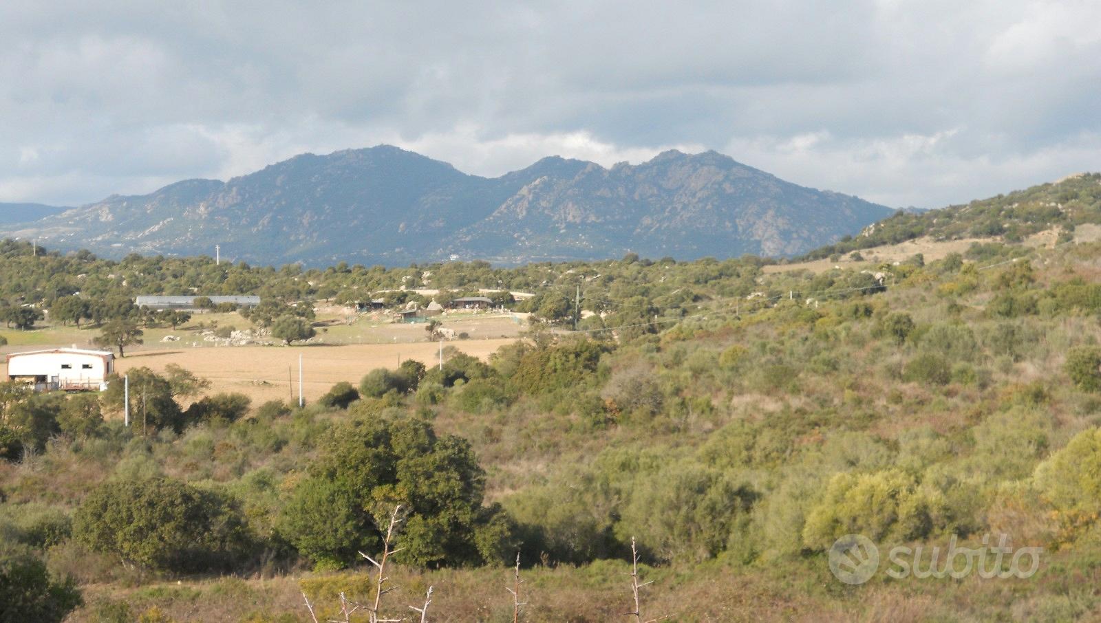 Terreno agricolo - Vista 2