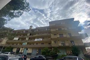 Rif.3650RA95222| ufficio caltanissetta