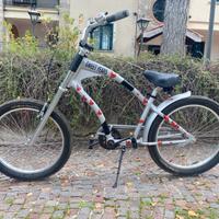 Cinque Bici da passeggio in blocco