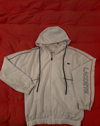 Felpa lacoste