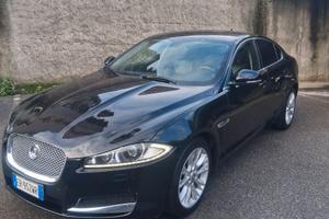Jaguar cerimonie matrimoni eventi