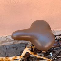 Bicicletta Mountain bike, city bike , graziella
