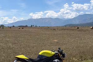 Speed Triple 1200 Rx