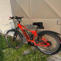 Bici assistita