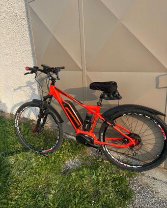 Bici assistita