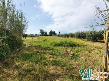 Terreno Agricolo - Fondi