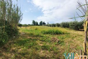 Terreno Agricolo - Fondi