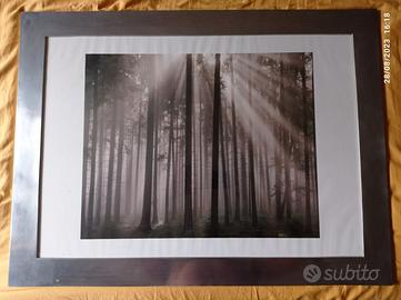 QUADRO CON CORNICE IN METALLO COLOR ARGENTO