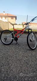 bicicletta