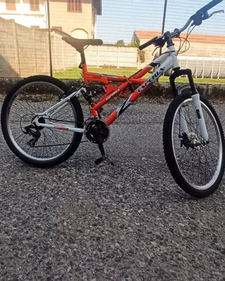 bicicletta
