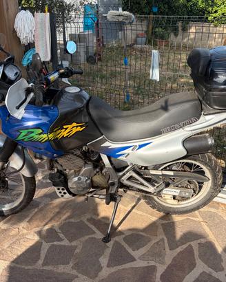 Honda Dominator 650