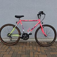 bicicletta mountain bike ruote da 26