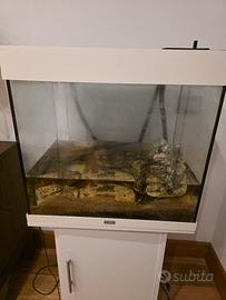 acquario