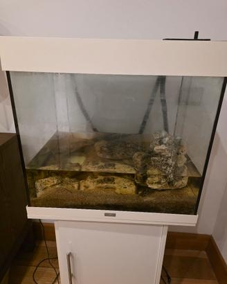 acquario