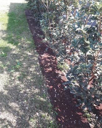 Bordi per giardini