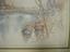 Immagine 9