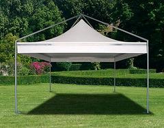 Gazebo mt.3x3 mod. Pagoda Basic