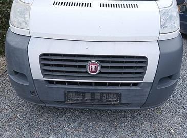 musata completa fiat ducato 2010