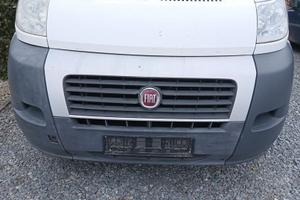 musata completa fiat ducato 2010