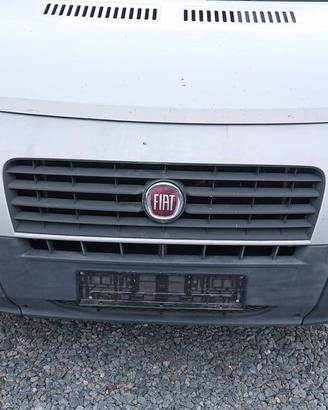 musata completa fiat ducato 2010